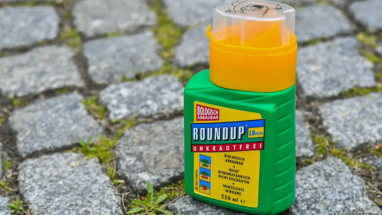 Grüne Flasche mit "Roundup Unkrautfrei" auf Kopfsteinpflaster. Die Diskussion um Roundup verboten Strafen wird durch solche Produkte aktuell gehalten.