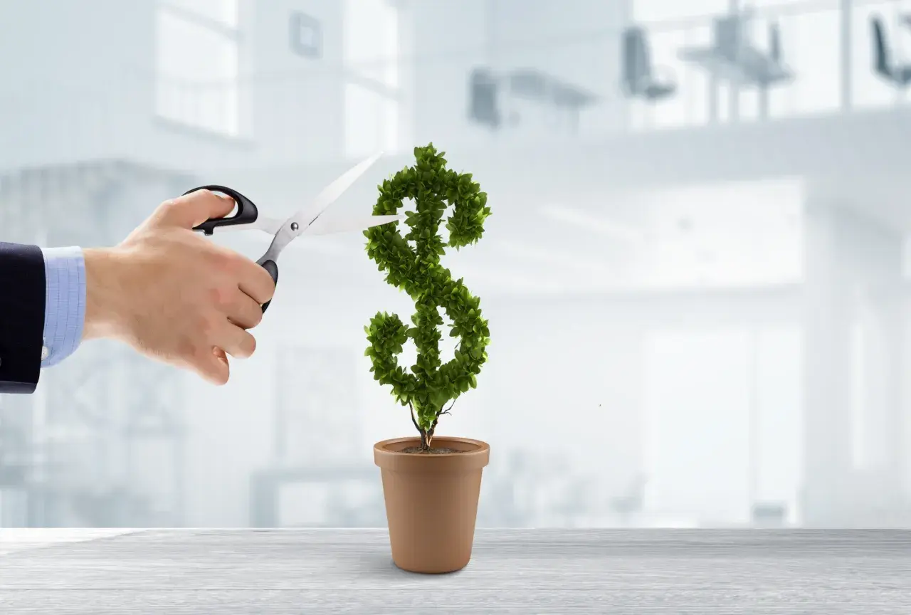 Mano con tijeras podando un árbol en forma de dólar. Una metáfora para montar negocio con poco dinero y hacerlo crecer.