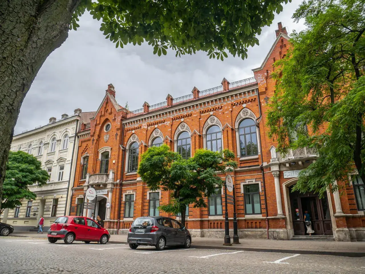 Ulica w Radomiu i okolicach z zabytkowymi kamienicami, drzewami i zaparkowanymi samochodami.