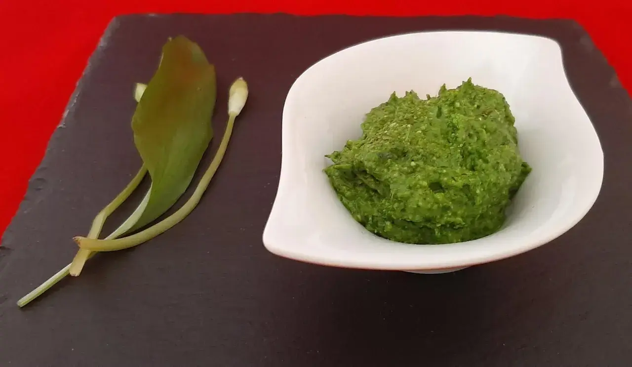 Un bol de pesto vert vif à l'ail des ours, accompagné de quelques feuilles et boutons de la plante.