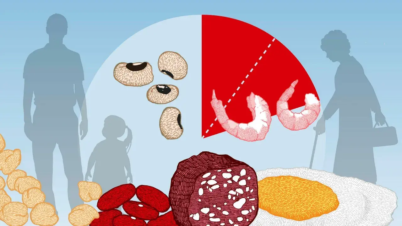 Illustration visar olika proteinkällor som bönor, räkor, kött och ägg, med silhuetter av människor i bakgrunden. Hur mycket protein per dag kan variera.