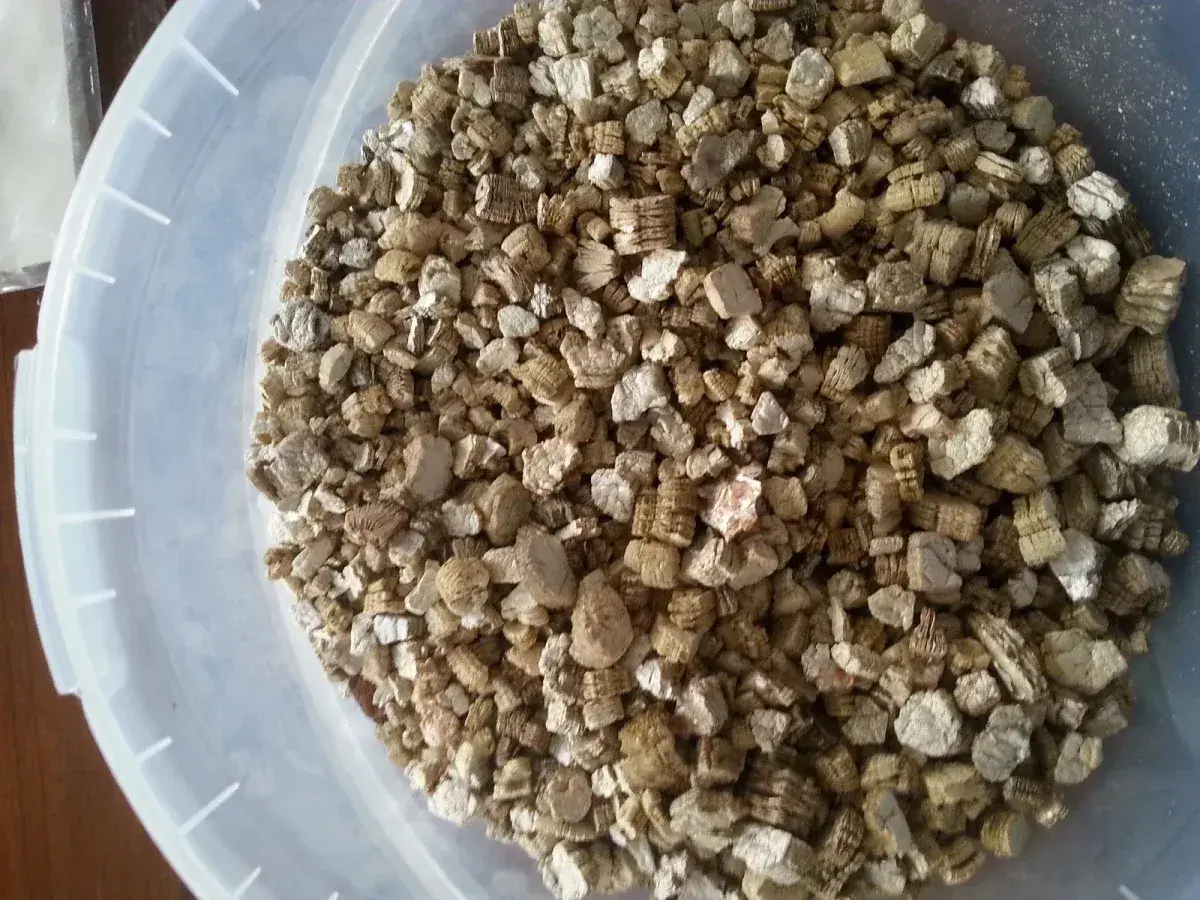 Granuli di vermiculite isolante in un secchio trasparente. Materiale leggero e poroso, ideale per l'edilizia e l'orticoltura.