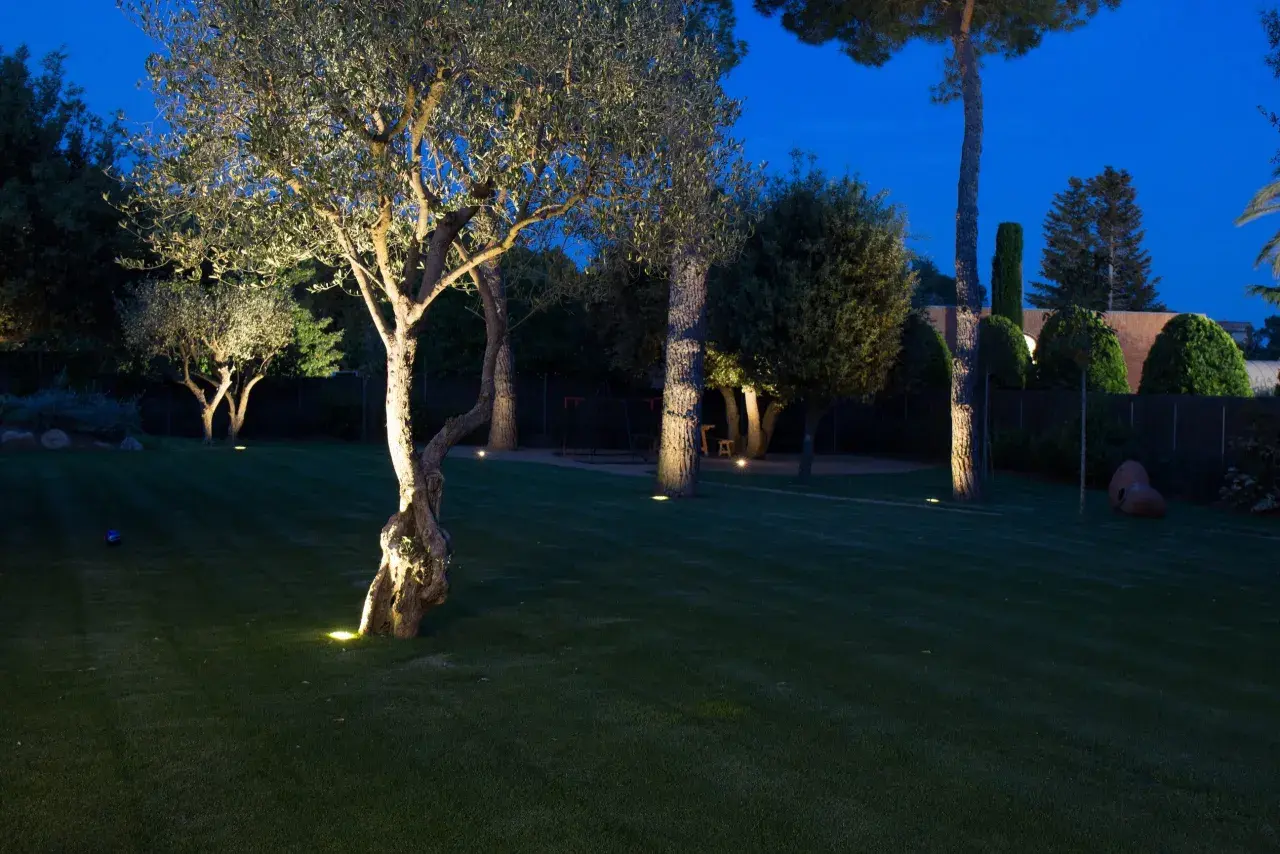 Jardín iluminado por la noche, con árboles y césped verde. Las luces, con protección **IP65**, resaltan la vegetación y crean un ambiente mágico.