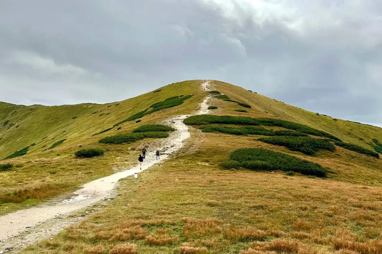 Wycieczka w Tatry na 3 dni. Szlak prowadzi przez trawiaste zbocza porośnięte kosodrzewiną, z widokiem na szczyt.