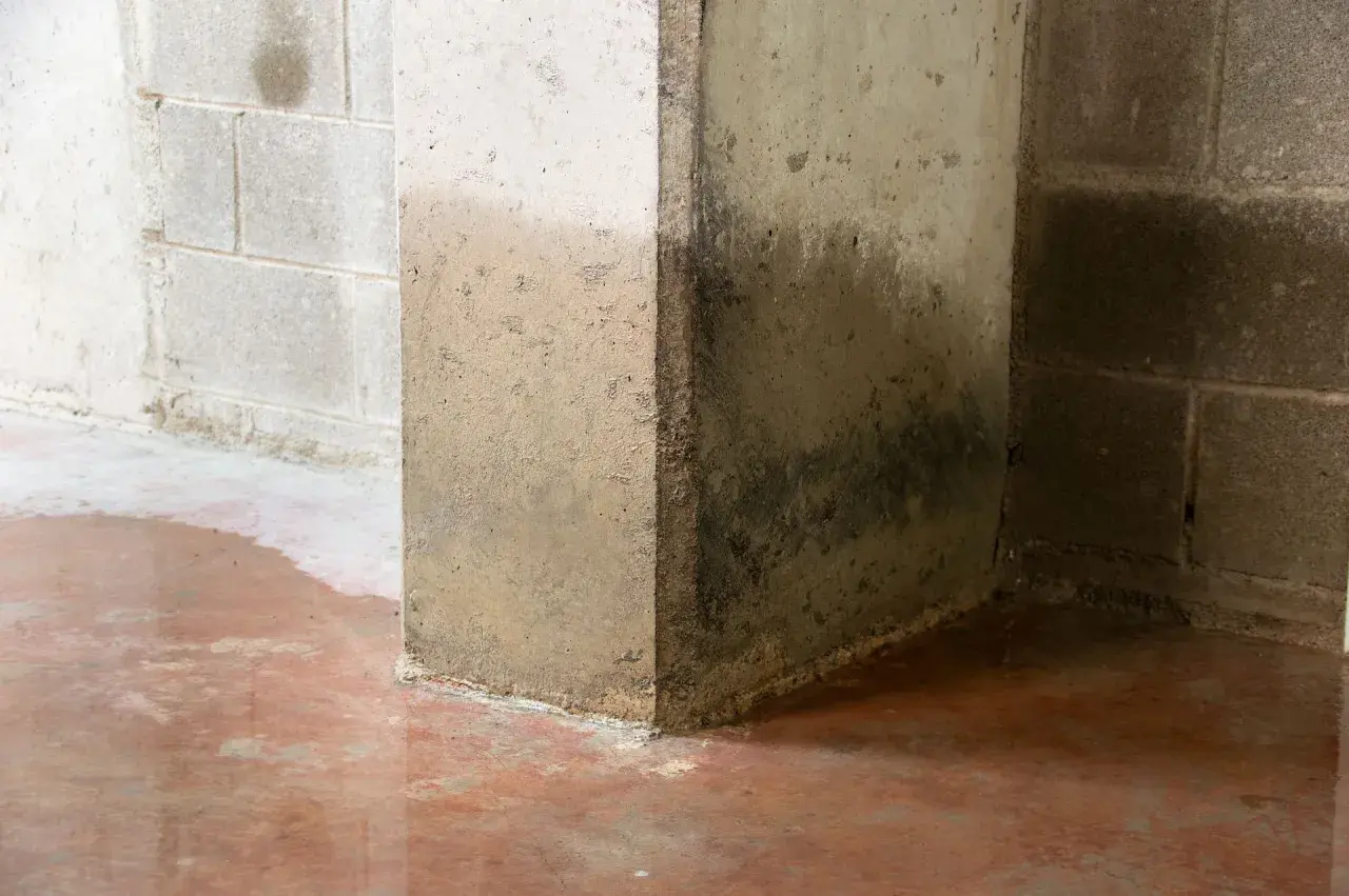Wilgotne ściany i kałuże na podłodze piwnicy sugerują, że beton przepuszcza wodę. Widoczne ciemne zacieki.