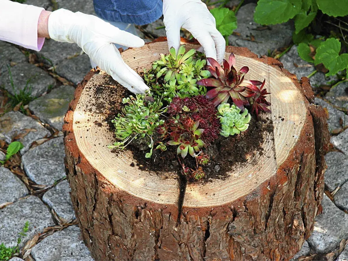 Jak zbudować drewniany kwietnik? Kompletny poradnik DIY
