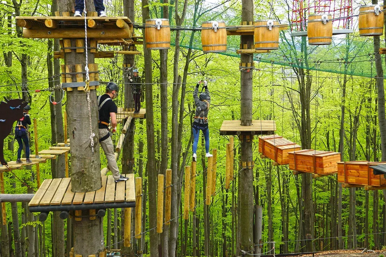 Park linowy w lesie, pełen drewnianych platform i przeszkód. Wśród zieleni widać ludzi pokonujących trasy, szukających wrażeń i **równica atrakcje**.