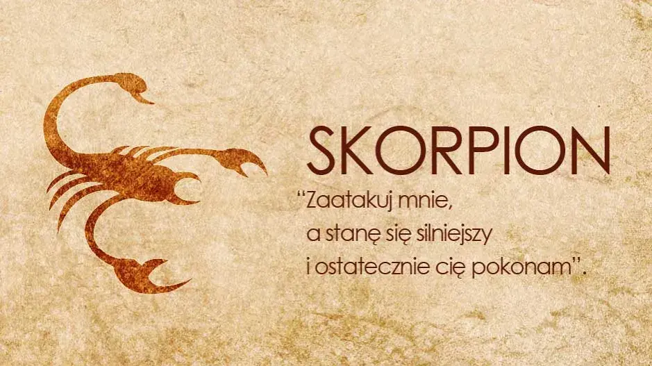 Jak postępować ze Skorpionem? Kluczowe porady dla Ciebie