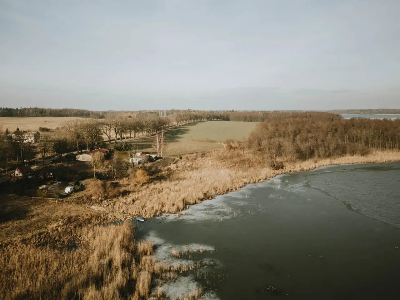 Zimowy krajobraz nad jeziorem Pniewy. Lód pokrywa część wody, a trzciny szumią na brzegu. W oddali widać las i pola.