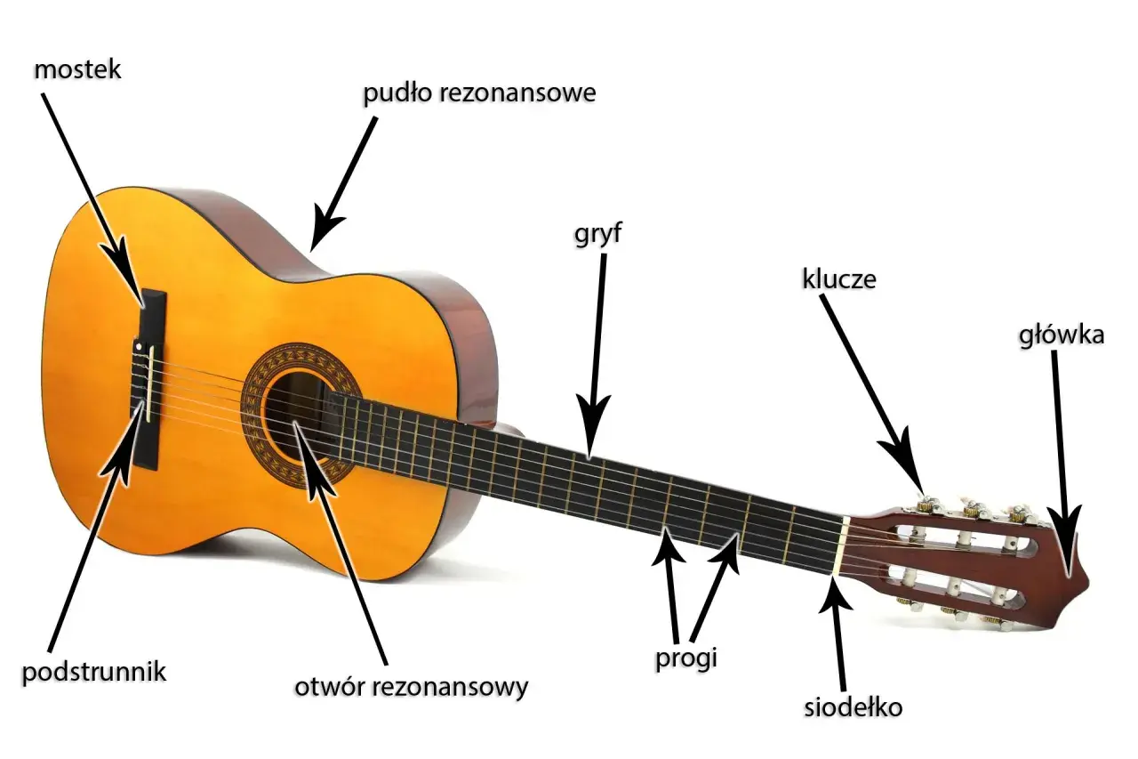 Anatomia gitary: pudło rezonansowe, gryf, mostek, podstrunniki, progi, siodełko, klucze i główkę.