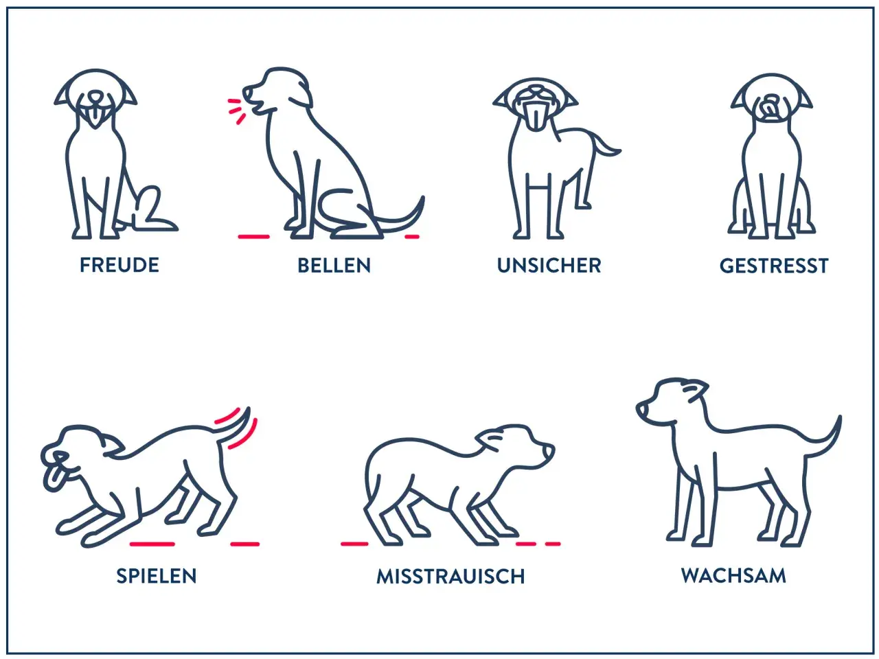 Illustrationen zeigen verschiedene Hund Verhaltensweisen: Freude, Bellen, Unsicherheit, Stress, Spielen, Misstrauen und Wachsamkeit.