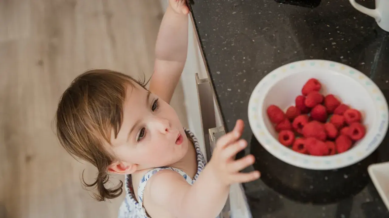 Ein neugieriges Baby entdeckt eine Schüssel voller Himbeeren.