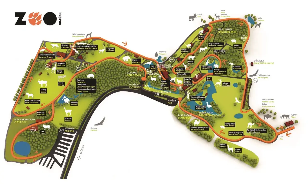 Mapa zoo w Gdańsku z zaznaczonymi zwierzętami: lwy, tygrysy, wielbłądy, pandy, żyrafy, zebry, słonie, ptaki wodne, małpy i inne.