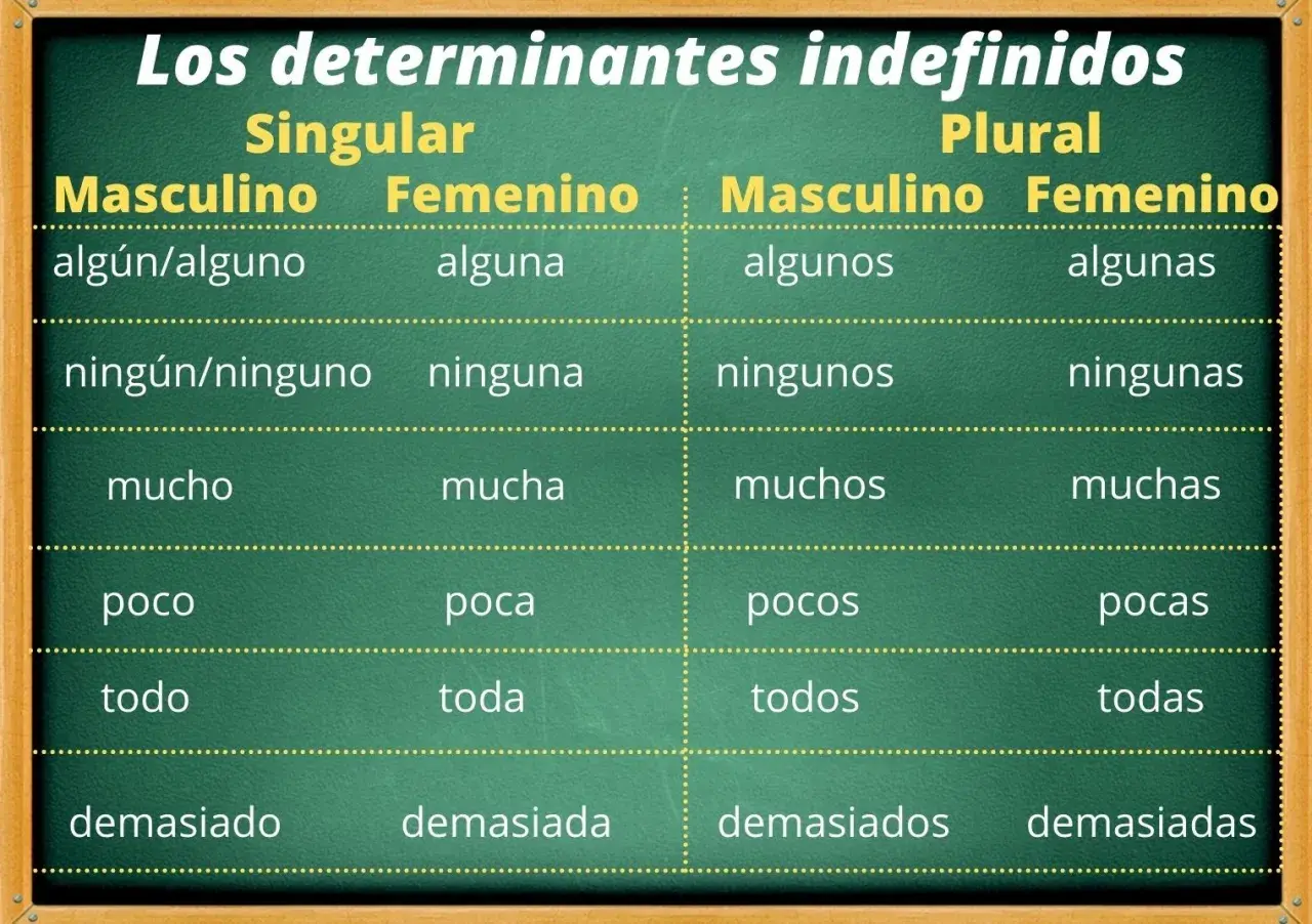 Tabla de tipos de determinantes indefinidos en español, mostrando singular y plural, masculino y femenino: algún, ninguno, mucho, poco, todo, demasiado.