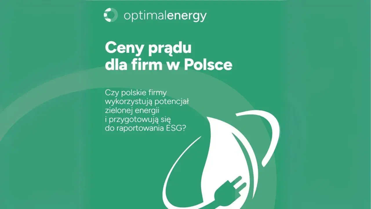 Ceny prądu dla firm w Polsce. Czy polskie firmy wykorzystują potencjał zielonej energii i przygotowują się do raportowania ESG?