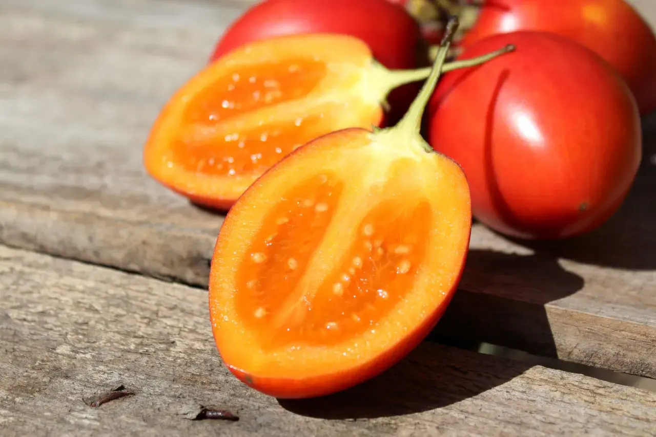 Tomates de palo rojos y brillantes, uno cortado por la mitad revelando su pulpa anaranjada y semillas.