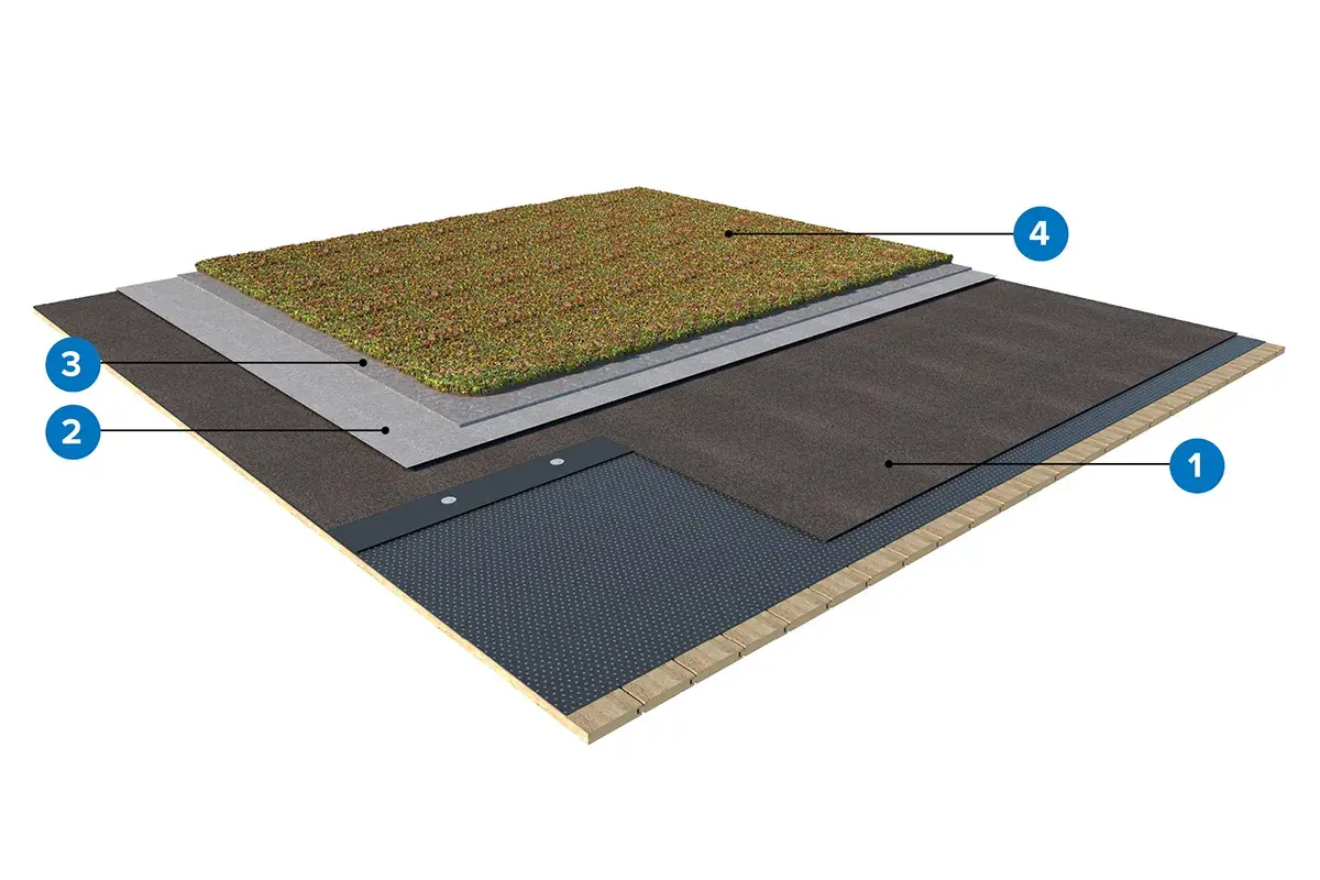 Skiktad sedumtak konstruktion med dränering, skydd och vegetation.