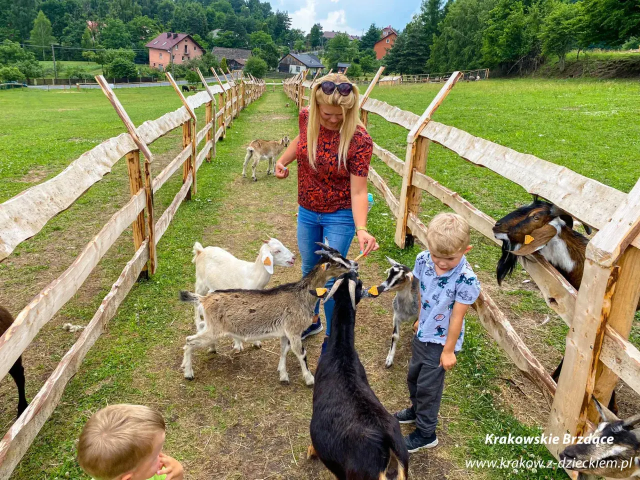 Dzieci i kobieta karmią kozy na farmie. Wesołe chwile na **petting zoo** wśród zieleni i zwierząt.