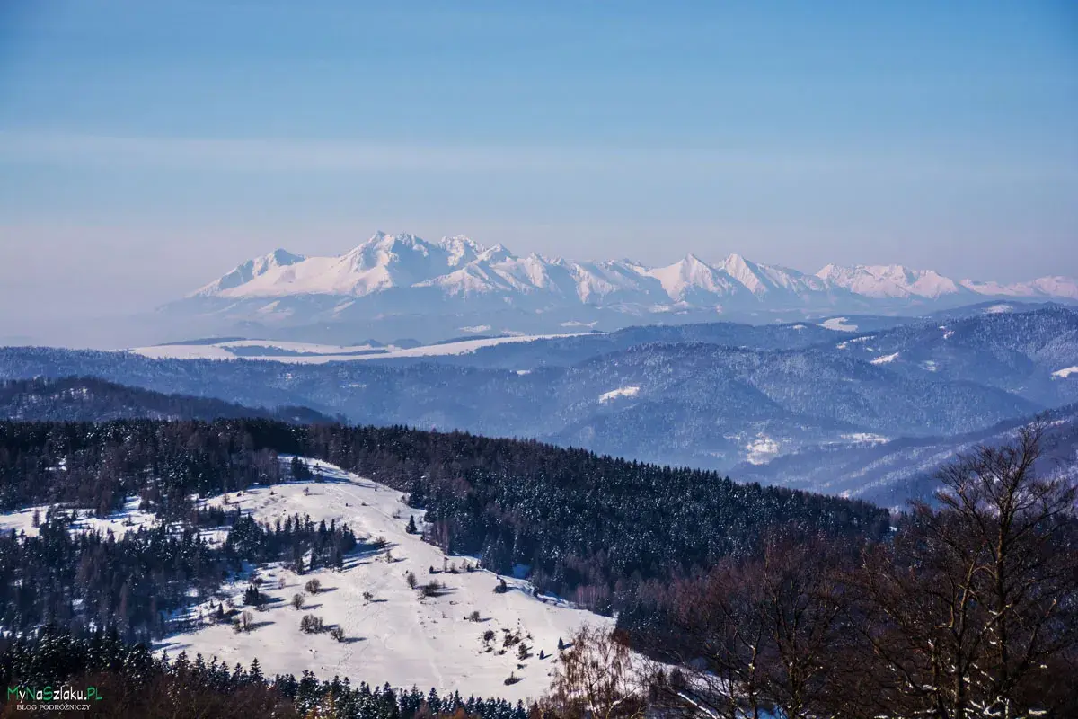 Zimowy krajobraz górski, pokryty śniegiem. W oddali widać pusta wielka, ośnieżona grań Tatr.