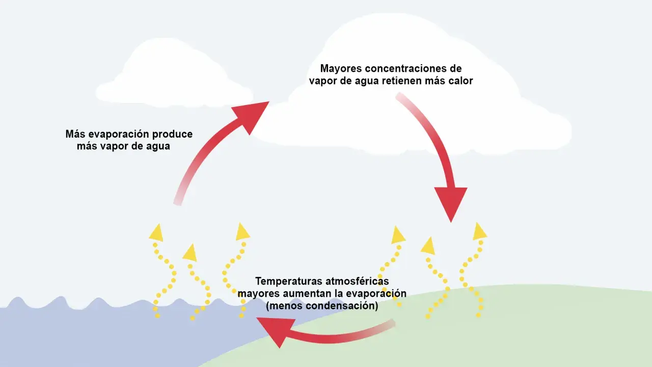 Ciclo del agua: la evaporación aumenta el vapor de agua, que retiene calor. Temperaturas altas aumentan la evaporación.