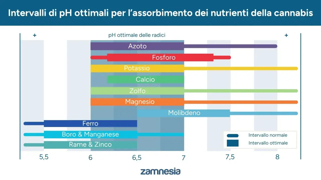 Grafico mostra gli intervalli di pH ottimali per l'assorbimento dei nutrienti della cannabis, essenziali per una crescita sana.