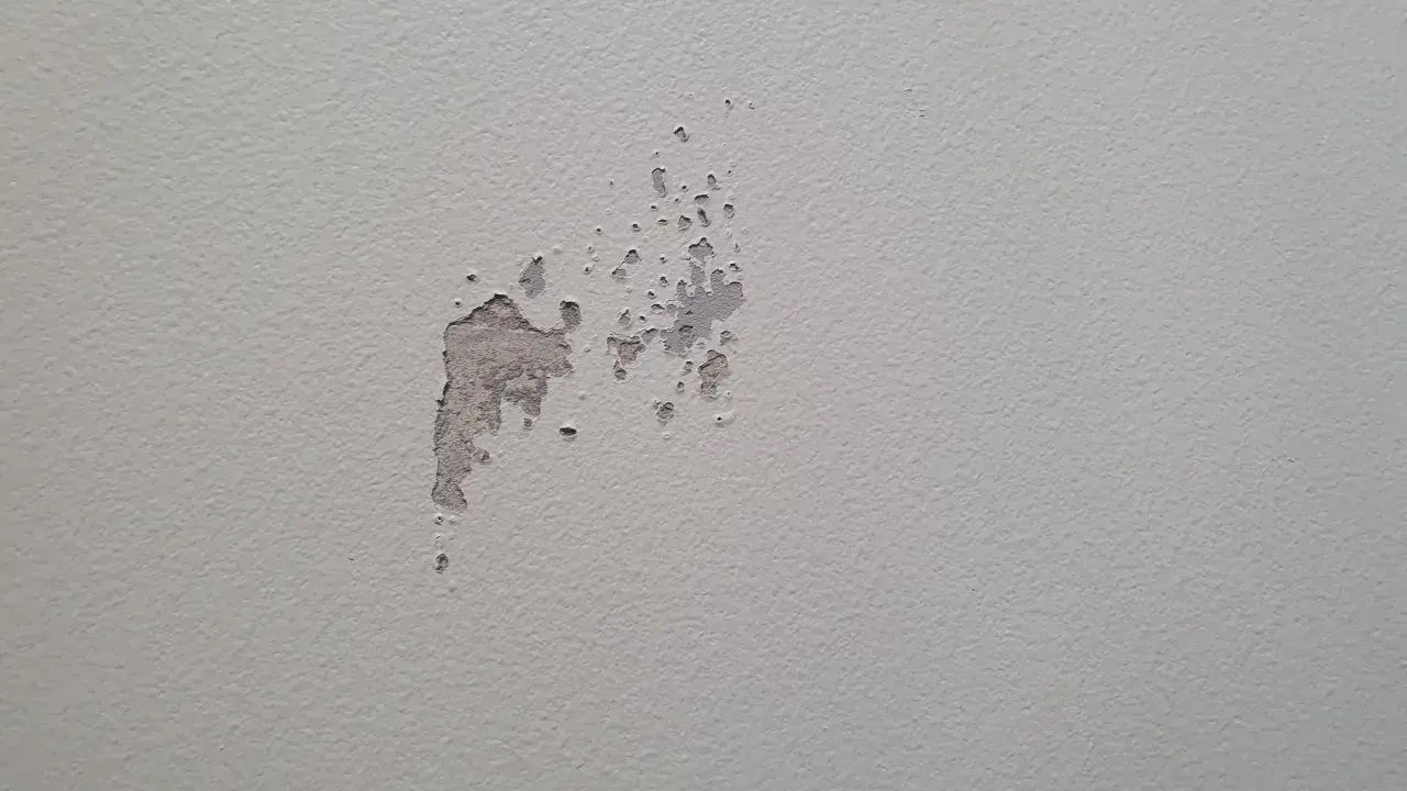 Sprucken färg visar spackel syns efter målning. En fläck på en ljusgrå vägg där färgen flagnar och spacklet syns igenom.