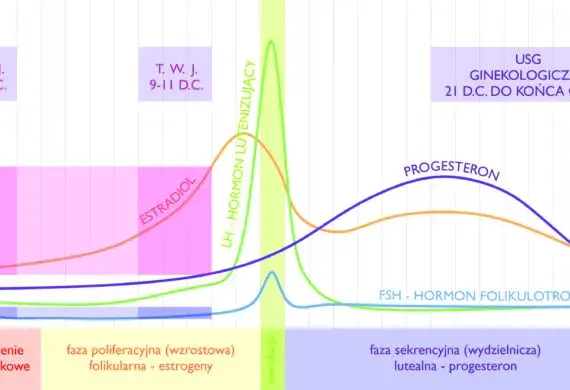 W którym dniu cyklu badać progesteron, aby uzyskać wiarygodne wyniki?