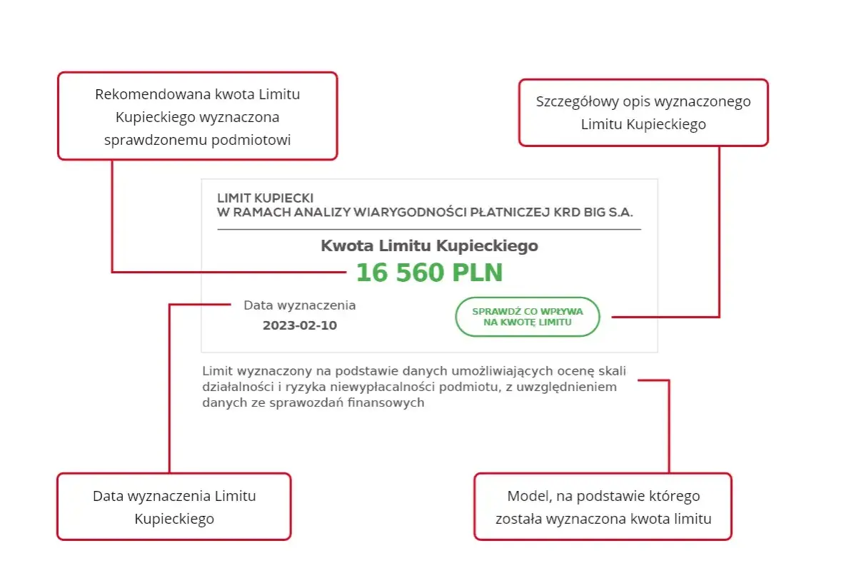 Wartości niematerialne i prawne od jakiej kwoty? Sprawdź limity!