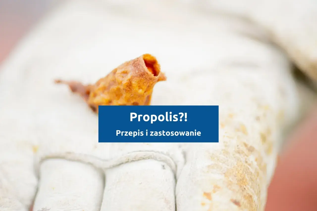 Fragment propolisu na rękawicy pszczelarza. Dowiedz się, jak zrobić propolis i jak go stosować.