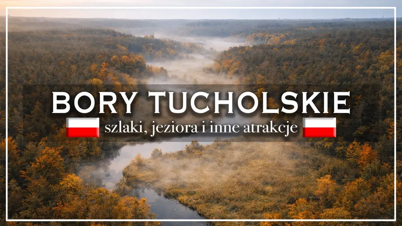 Mglisty poranek nad rzeką w Bory Tucholskie. Jesienne drzewa otaczają wodę, tworząc malowniczy krajobraz.