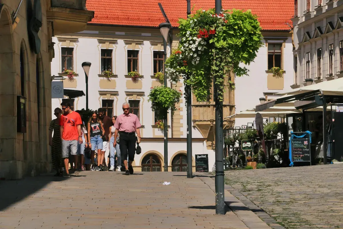 Ołomuniec gdzie zjeść: najlepsze miejsca na tradycyjne dania i więcej