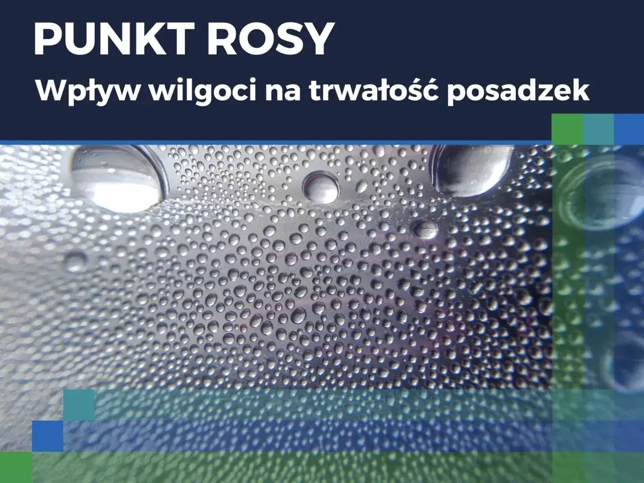 Krople wody na powierzchni. Dowiedz się, jak odczytywać higrometr i jak wilgoć wpływa na trwałość posadzek.