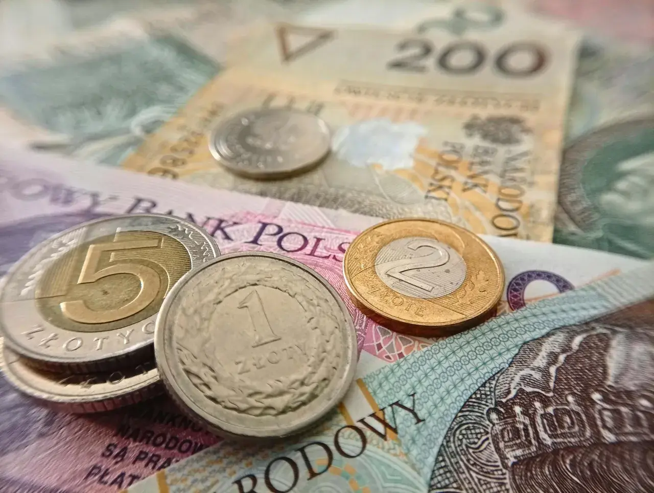 Złote monety i banknoty. Chcesz wiedzieć, jak sprawdzić, czy jesteś w OFE czy ZUS? Sprawdź swoje finanse!