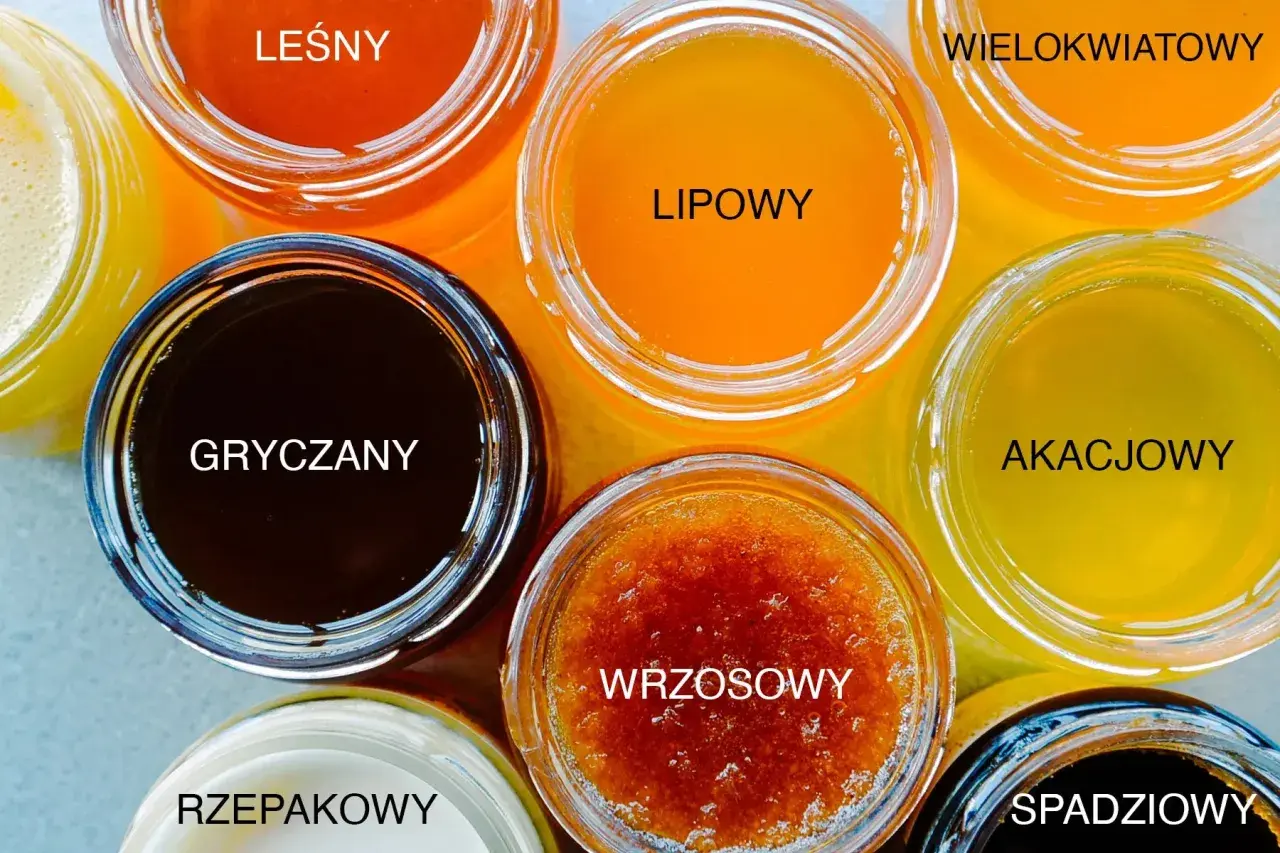 Siedem słoików z różnymi rodzajami miodu: leśny, gryczany, lipowy, wrzosowy, wielokwiatowy, akacjowy, spadziowy.
