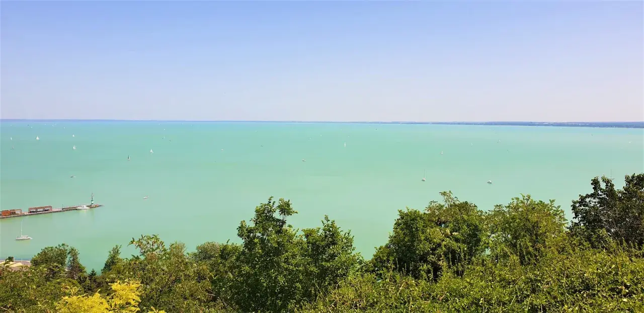 Widok na turkusowe wody Balatonu z licznymi żaglówkami. Na pierwszym planie bujna zieleń drzew, a w oddali widać zarys miejscowości nad Balatonem.