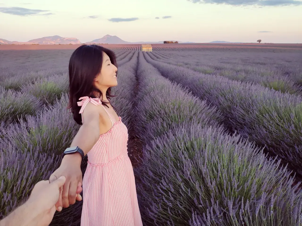 Une femme en robe rose tient la main de quelqu'un au milieu des champs de lavande du plateau de Valensole, au coucher du soleil.
