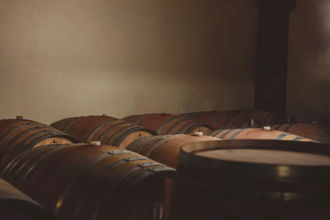 Cantina buia con numerosi tonneaux di rovere in attesa di maturare il vino.