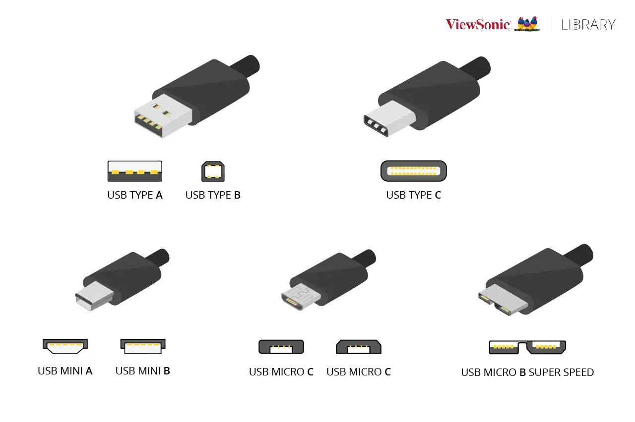 Verschiedene USB-Anschlüsse: Typ A, B, C, Mini und Micro. USB-C-Anschlüsse bieten hohe USB C Geschwindigkeit für schnelle Datenübertragung.