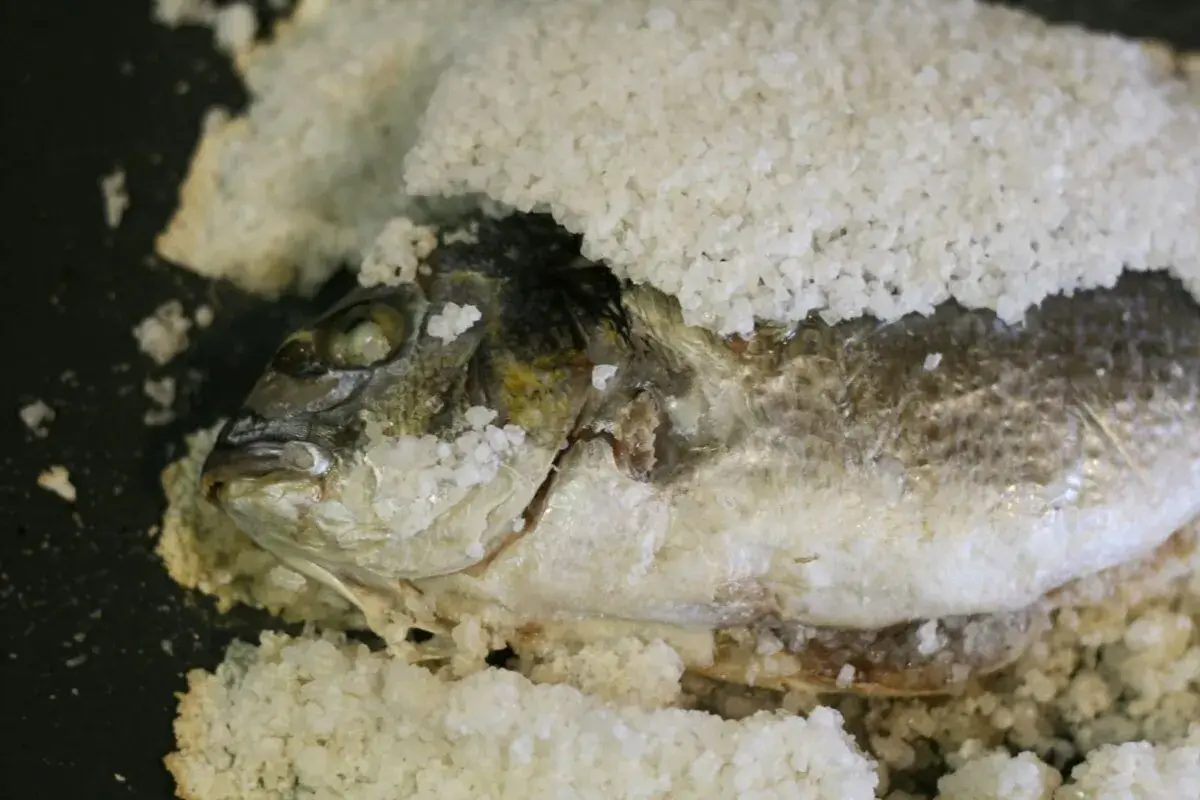 Dorada a la sal, lista para hornear. El pescado está cubierto de sal gruesa, con su cabeza visible.