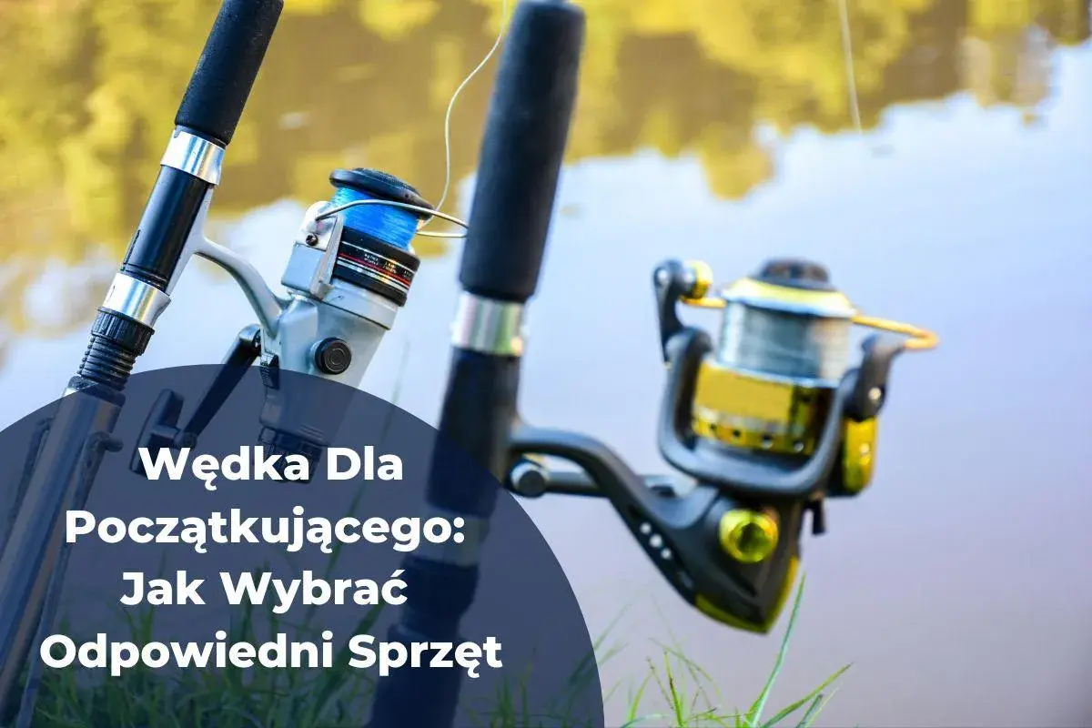 Dwie wędki travel z kołowrotkami, gotowe na wyprawę wędkarską. Idealny sprzęt dla początkujących.