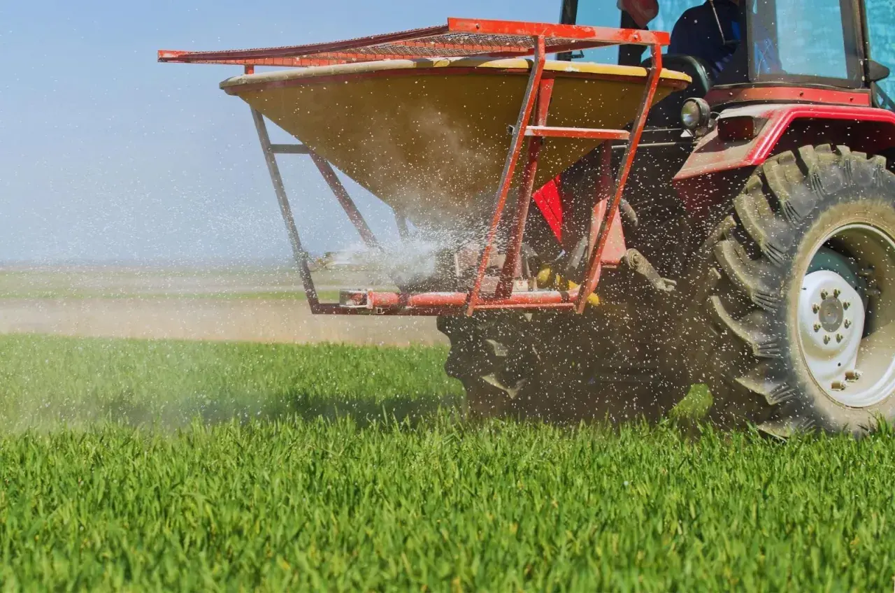 Czerwony traktor rozsiewa nawóz wapniowy na zielonym polu, dbając o zdrowie upraw.