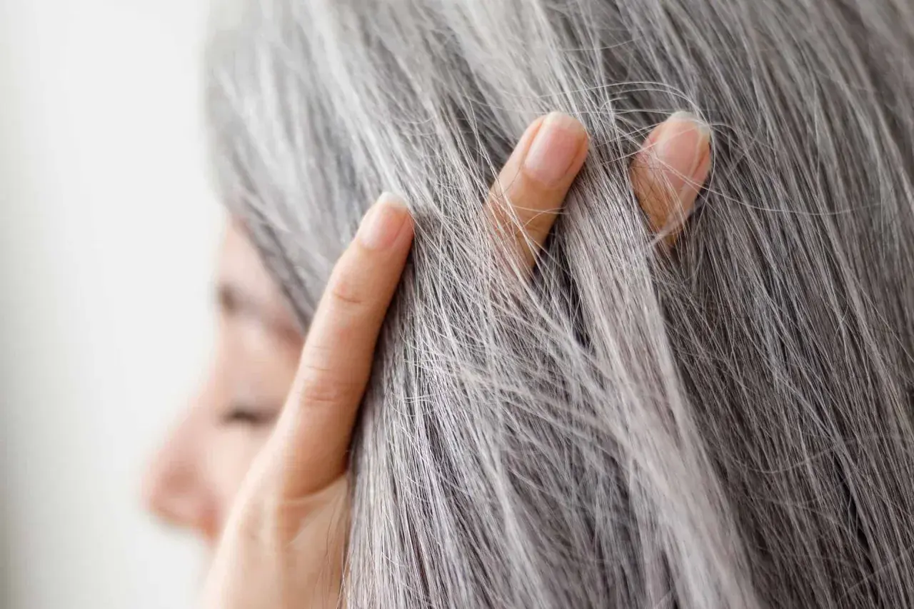 Dedos acarician el pelo gris, señal de que la melanina ha comenzado su viaje hacia la sabiduría.