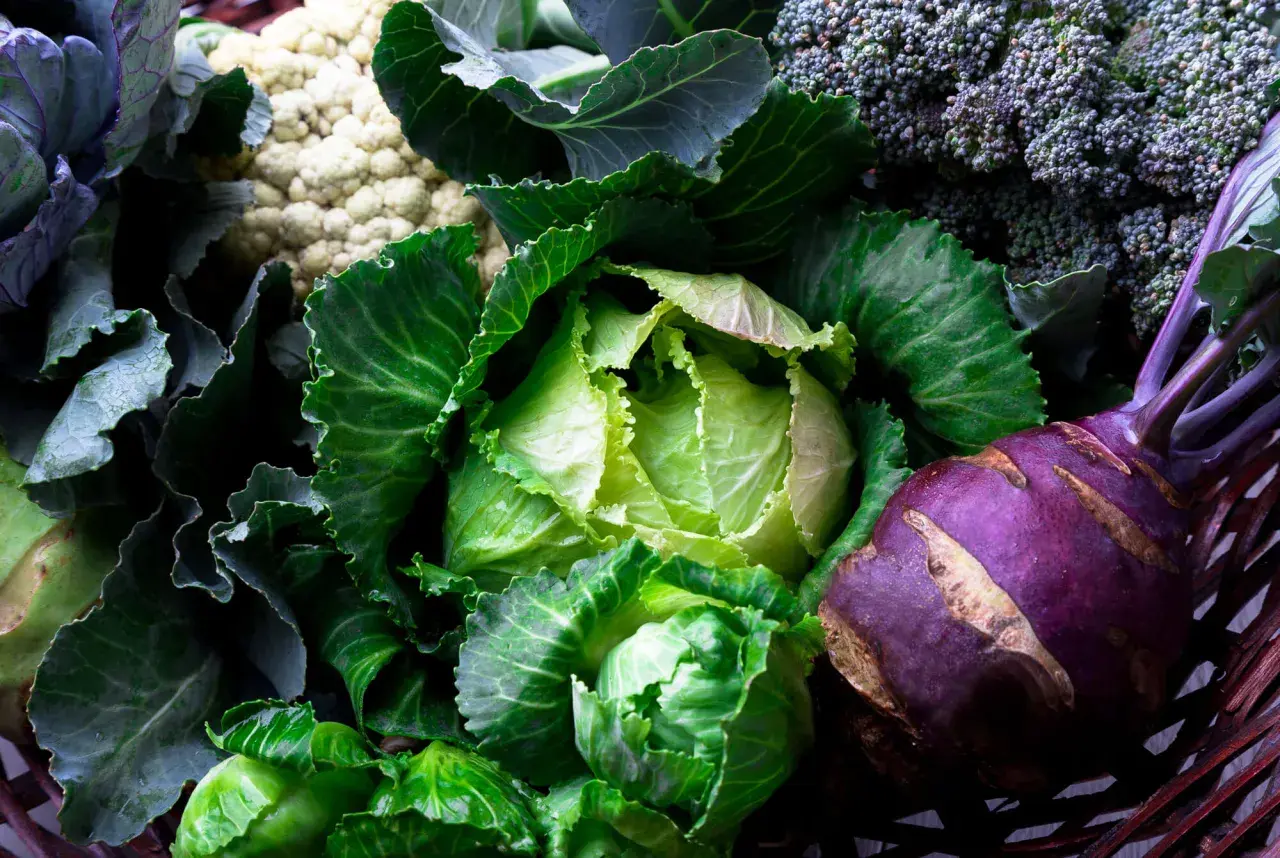 En korg fylld med färska grönsaker: vitkål nyttigt, broccoli, blomkål och kålrot.