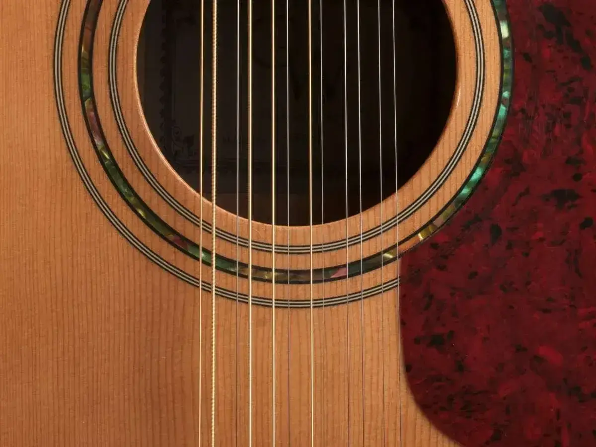 Zbliżenie na gitarę 12 strunową, widoczne struny i ozdobne rozety. Strojenie gitary 12 strunowej to precyzyjne zadanie.