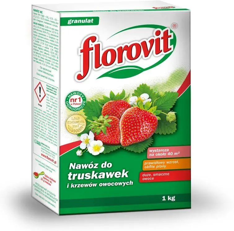 Jaki nawóz na wiosnę na truskawki zapewni obfite plony i zdrowy wzrost?
