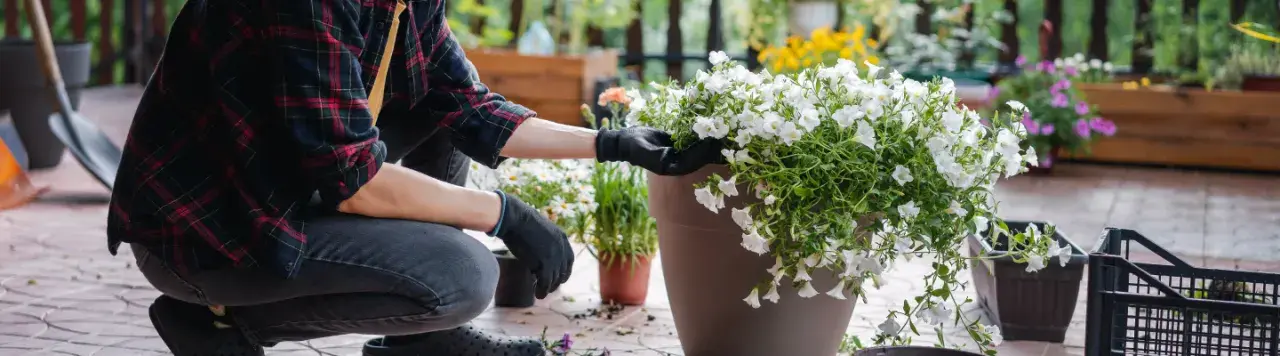 Jakie kwiaty do wysokich donic na taras – najlepsze rośliny na balkon