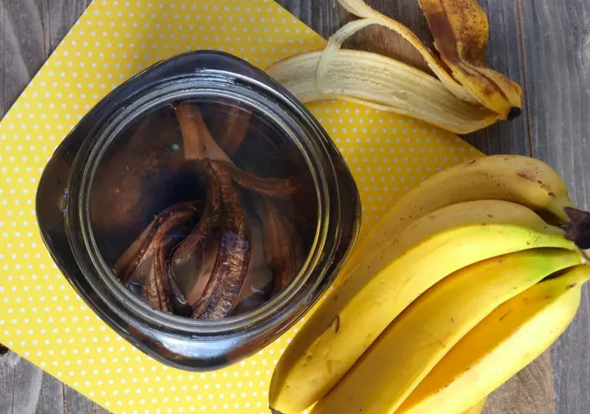 Jak zrobić nawóz ze skórek banana: 4 skuteczne metody