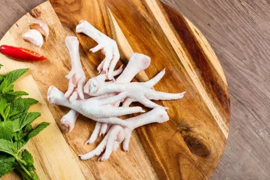Czy pies może jeść kurze łapki? Bezpieczne i zdrowe dla psa?