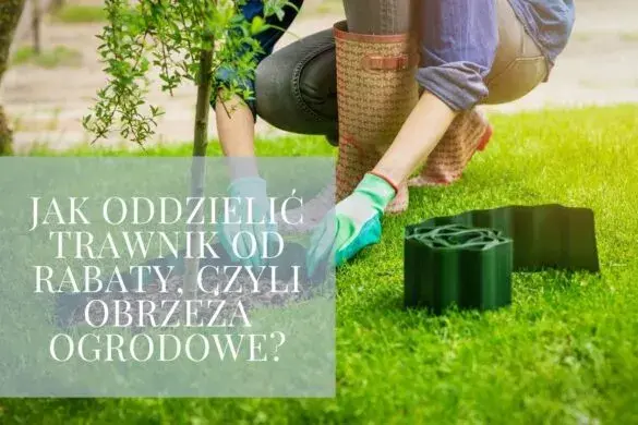 Jak skutecznie oddzielić trawnik od kamieni – proste metody i praktyczne porady