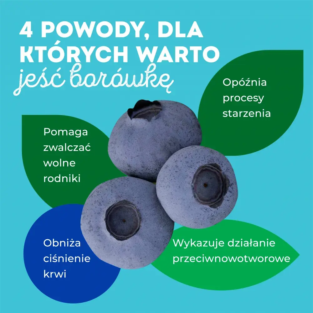 Zdrowotne właściwości borówek - poznaj 7 korzyści dla Twojego organizmu